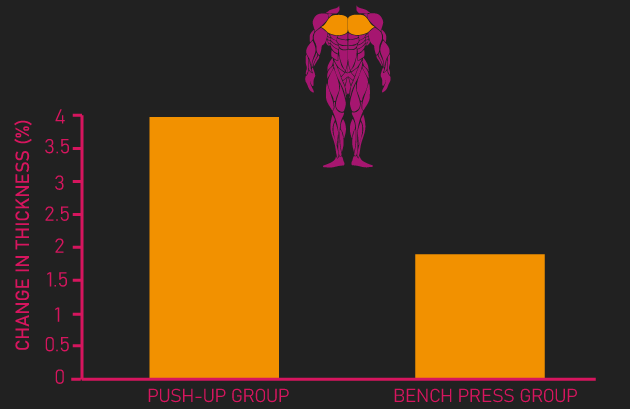 bench press vs push up for pectoralis major