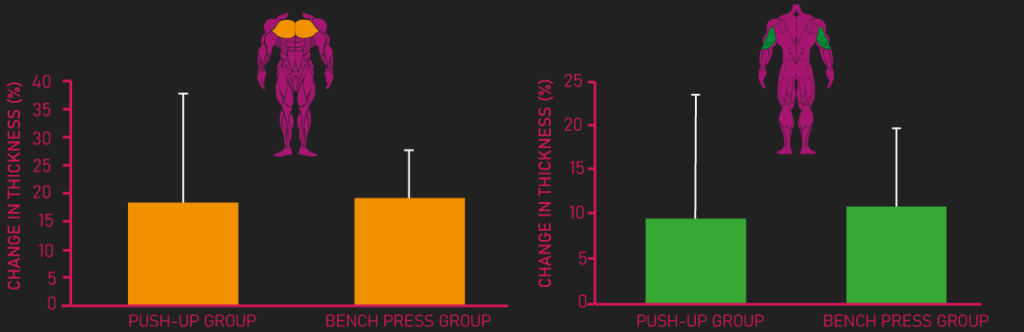 bench press vs push ups
