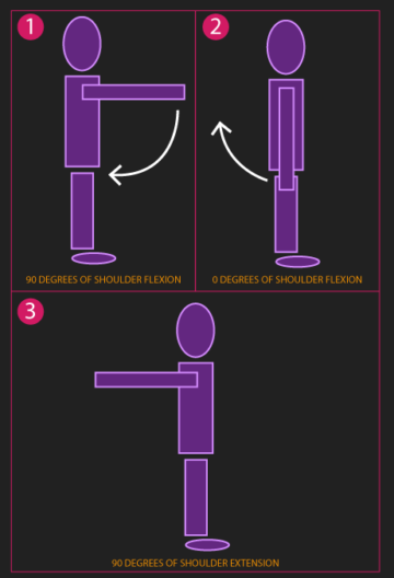 Is the Bench Press Enough for Chest Growth? - House of Hypertrophy