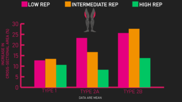 Can Less Than 5 Reps Build Muscle Effectively? - House of Hypertrophy
