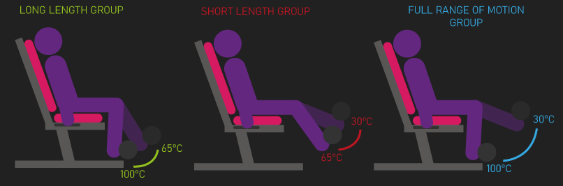 leg extension range of motion