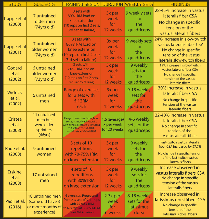 myofibrillar hypertrophy research