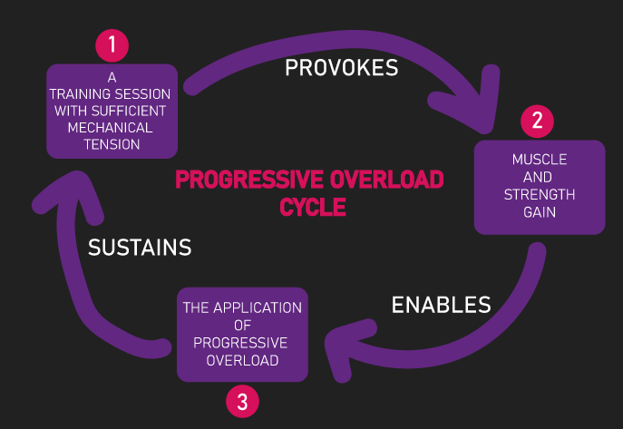progressive overload cycle