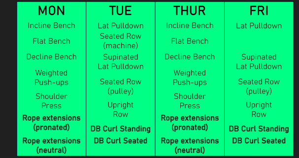 Gym workout chart - Compound exercises vs isolation exercises