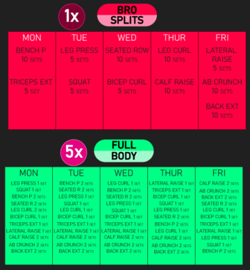 What Is the Best Training Split for Muscle Hypertrophy? - House of ...