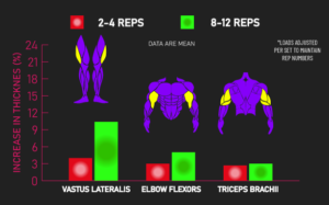 8 vs 12 reps