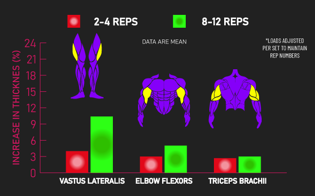 2-4 reps vs 8-12 reps for hypertrophy