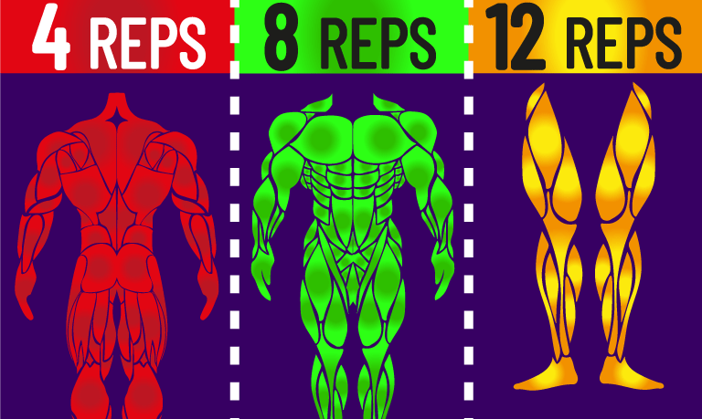 4 vs 8 vs 12 Reps for Strength & Hypertrophy - House of Hypertrophy